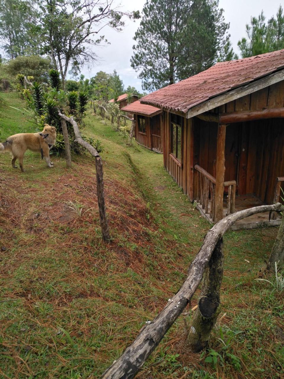 Cabanas Don Camilo Albergue De Montana Cabecera de Canas Zewnętrze zdjęcie