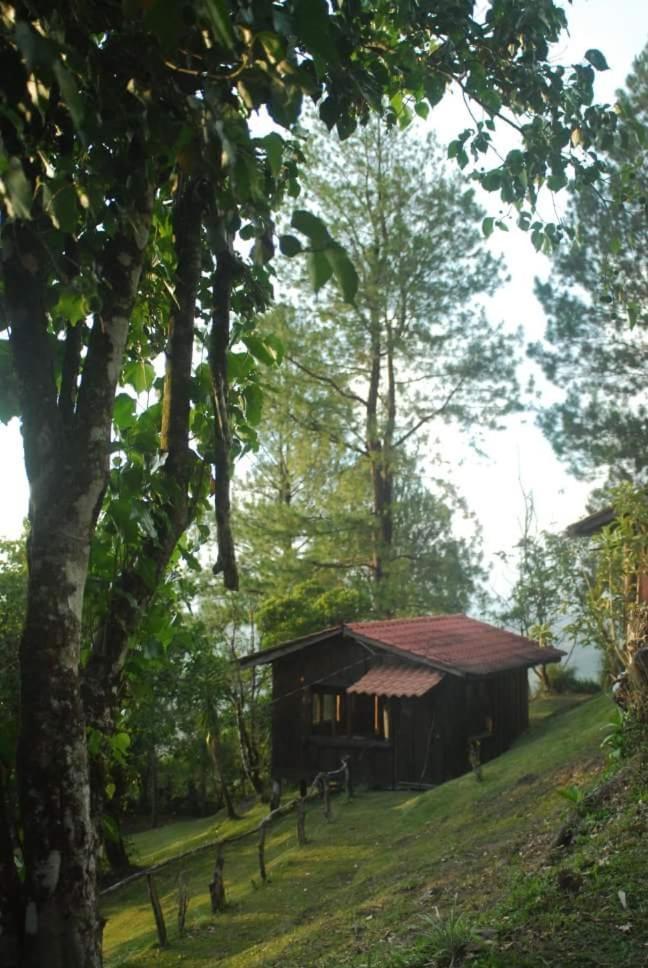 Cabanas Don Camilo Albergue De Montana Cabecera de Canas Zewnętrze zdjęcie